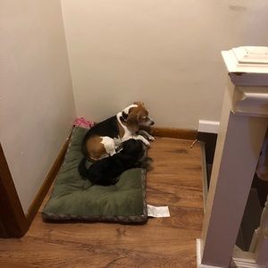 Meet your Posher, Edith